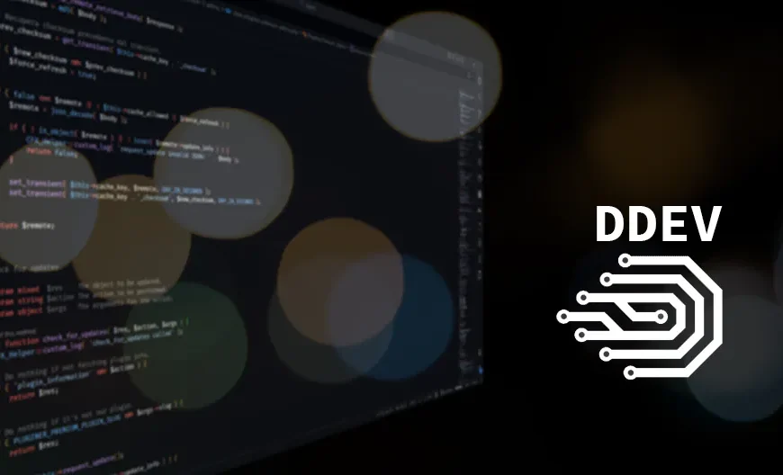 DDEV for Dummies: How to Use DDEV on Windows and Live Happily Ever After